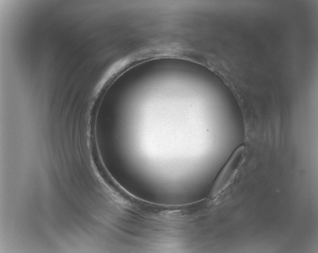 X0000052550054200507152210