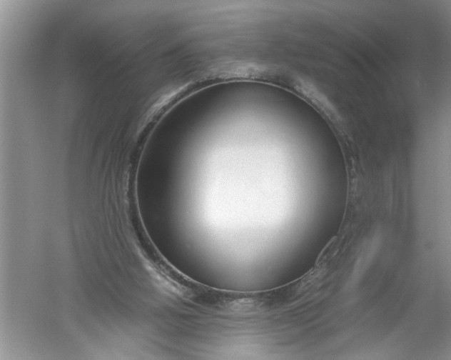 X0000052550058200507152210