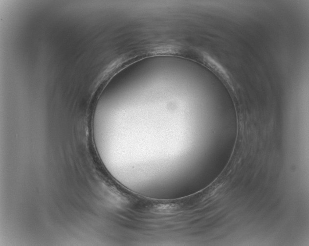 X0000052550059200507152210