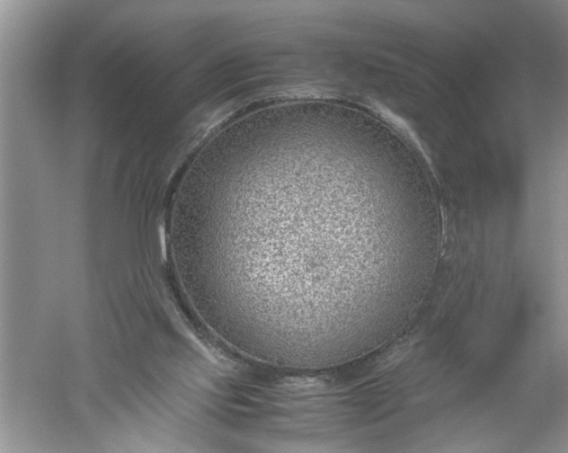 X0000052550061200507152210