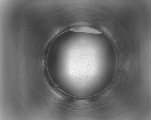 X0000052550063200507152210