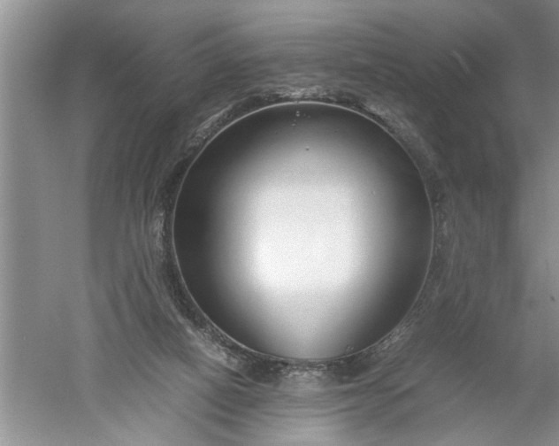 X0000052550066200507152210