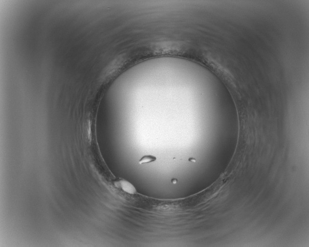 X0000052550067200507152210