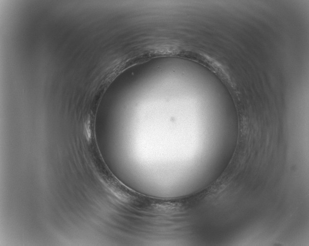 X0000052550069200507152210