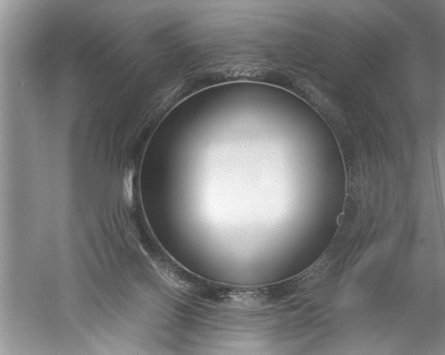 X0000052550070200507152210