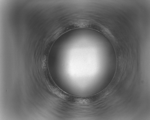 X0000052550073200507152211