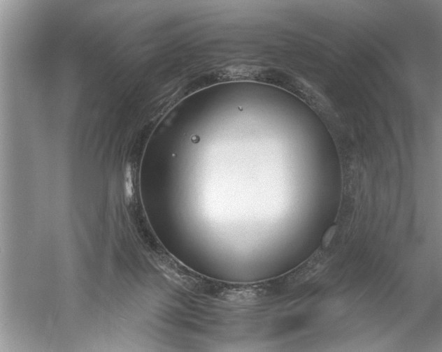 X0000052550075200507152211