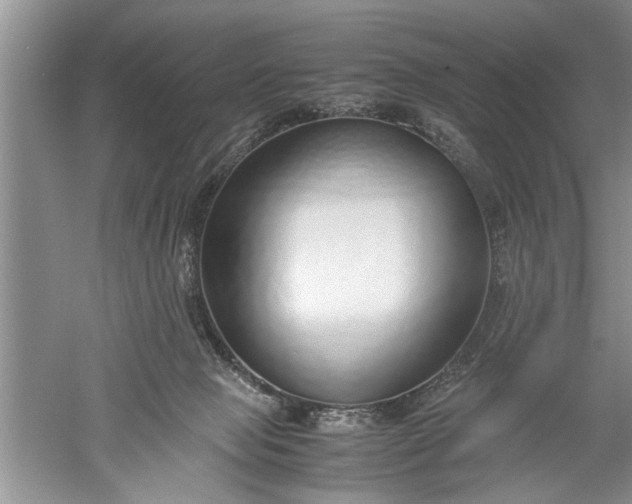 X0000052550077200507152211