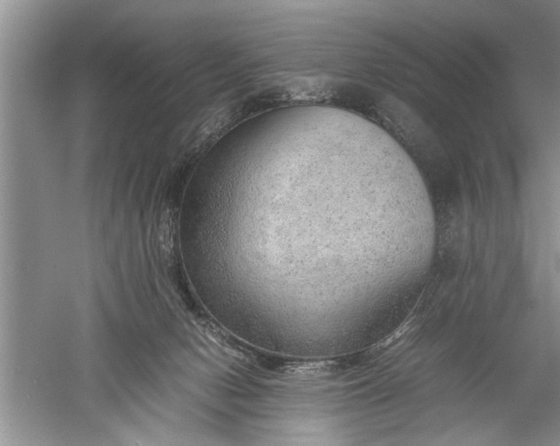 X0000052550078200507152211