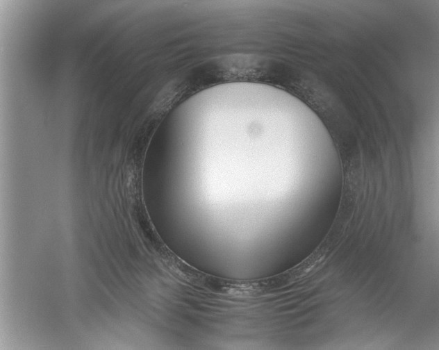 X0000052550079200507152211