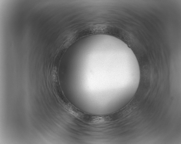 X0000052550083200507152211