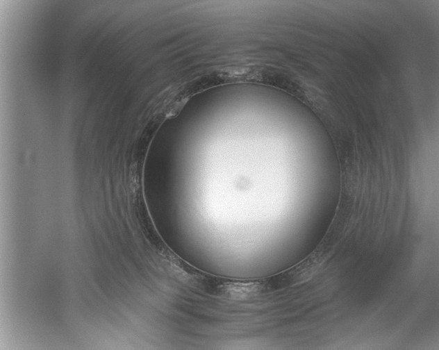 X0000052550085200507152211