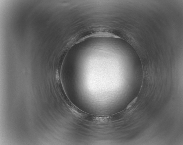 X0000052550089200507152211