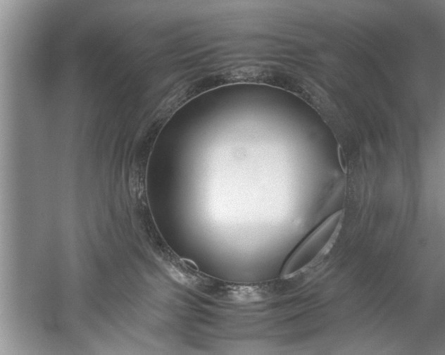 X0000052550091200507152211