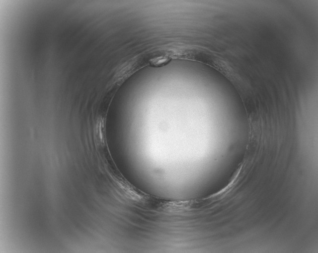 X0000052550094200507152211