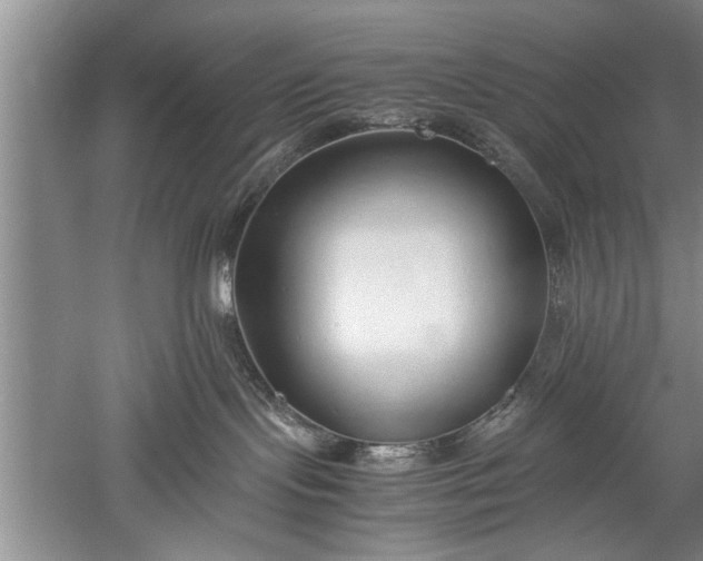 X0000052550095200507152211