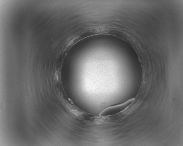 X0000052550096200507152211