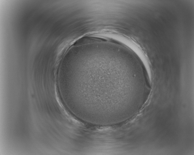 X0000052550097200507152210