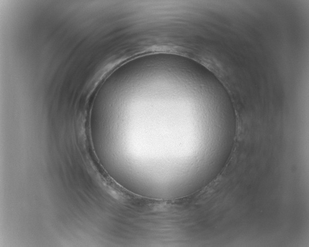 X0000052550098200507152210