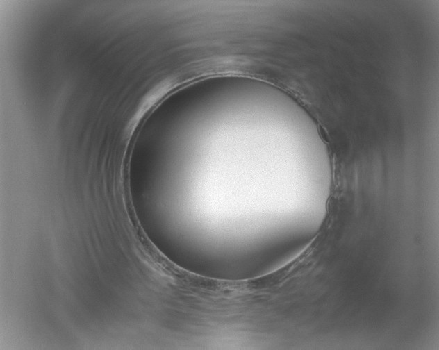 X0000052550099200507152210