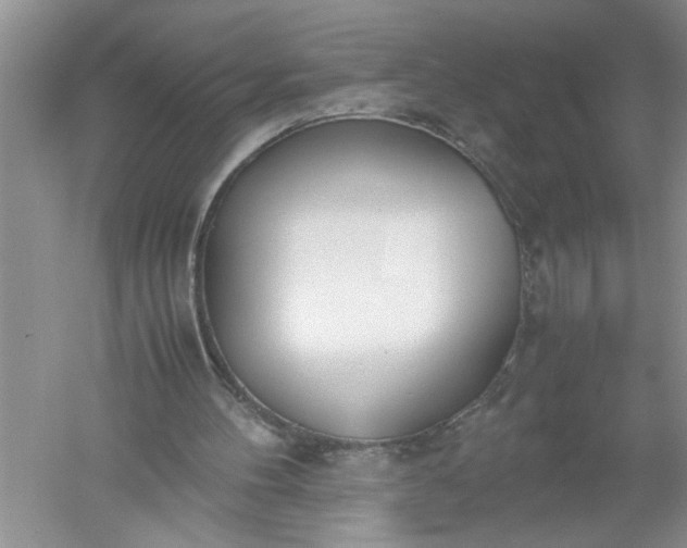 X0000052550100200507152210