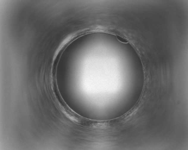 X0000052550102200507152210