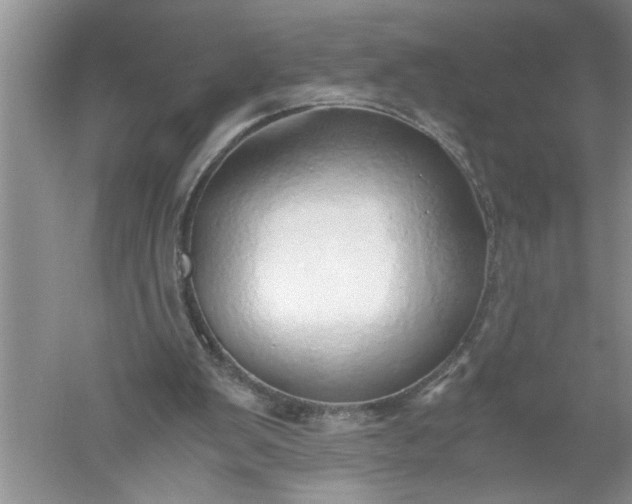 X0000052550103200507152210