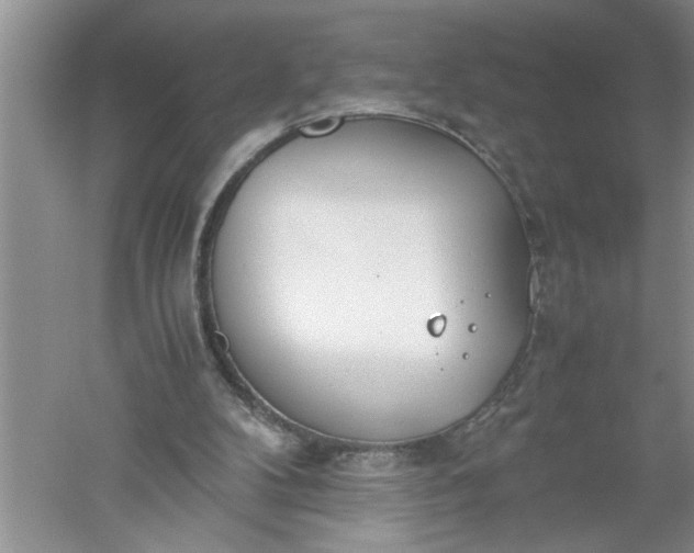 X0000052550104200507152210