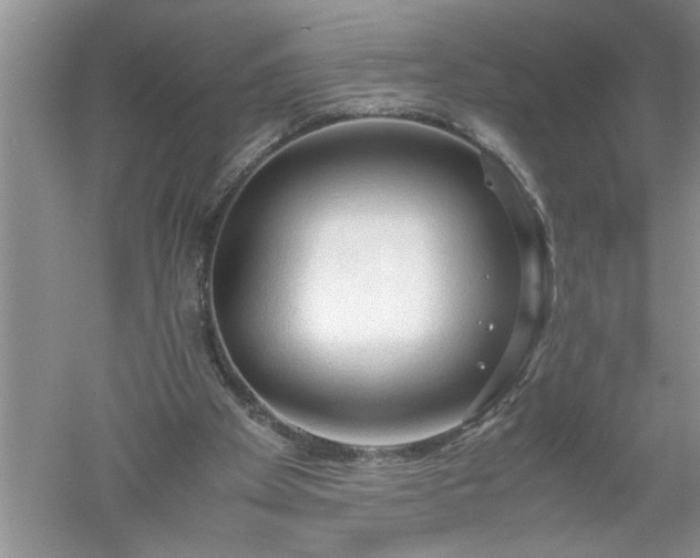 X0000052550105200507152210