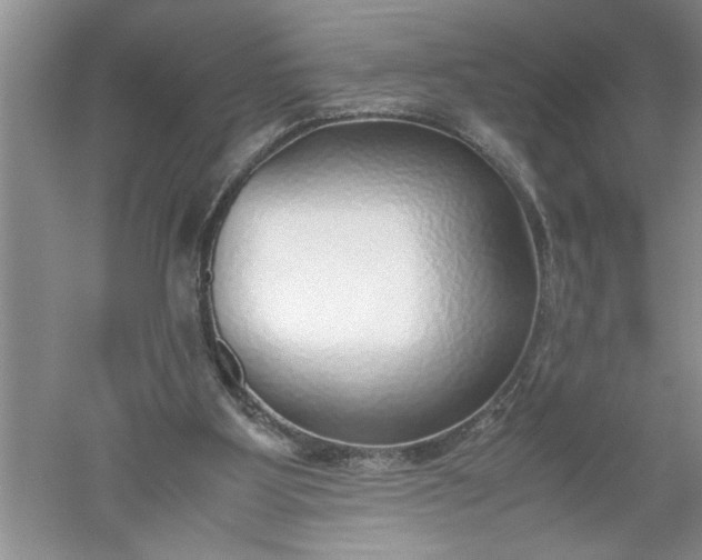 X0000052550107200507152210