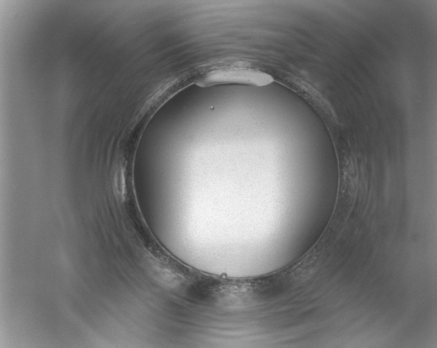 X0000052550110200507152210