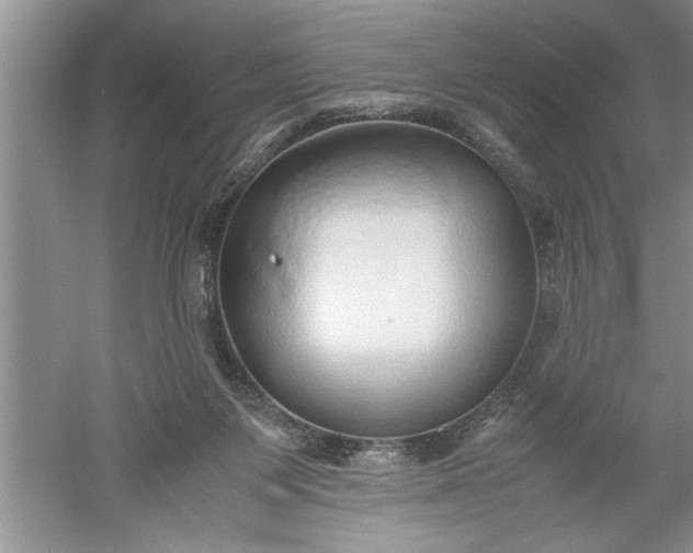 X0000052550119200507152210