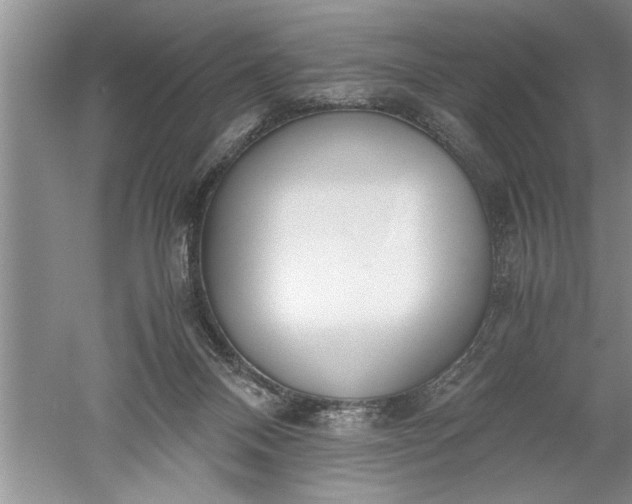 X0000052550120200507152210