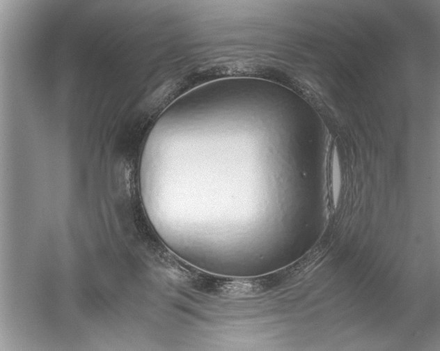 X0000052550123200507152210