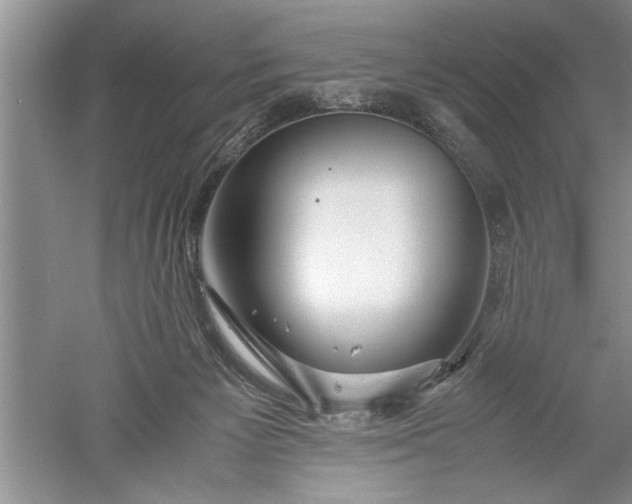 X0000052550125200507152210