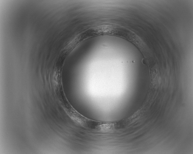 X0000052550126200507152210