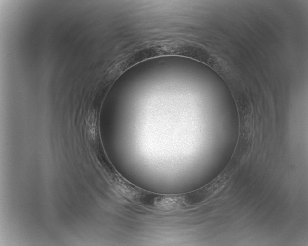 X0000052550129200507152210