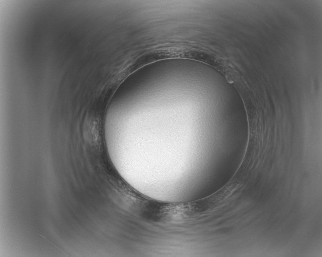 X0000052550131200507152210