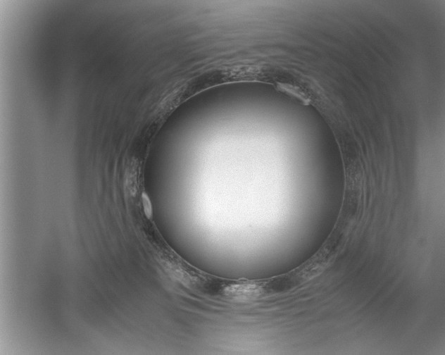 X0000052550133200507152209