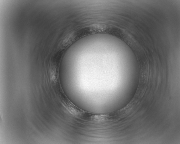 X0000052550134200507152209