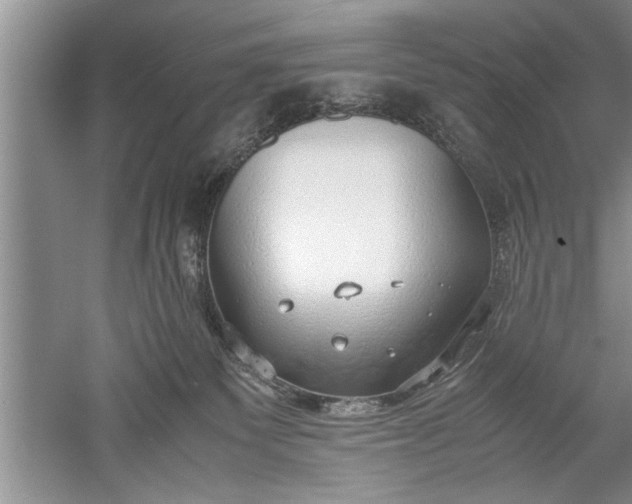 X0000052550135200507152209