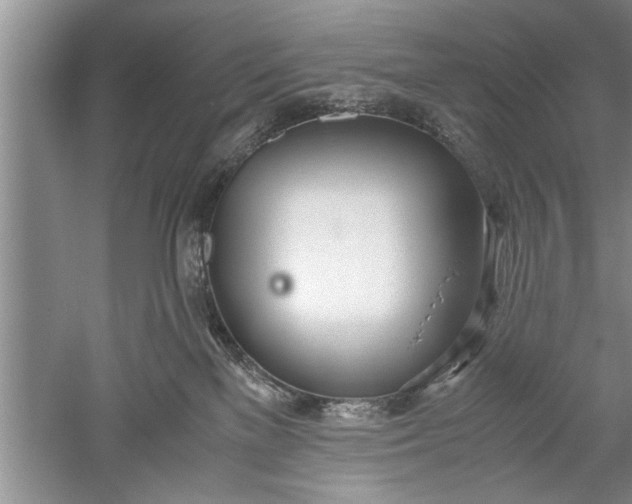 X0000052550137200507152209