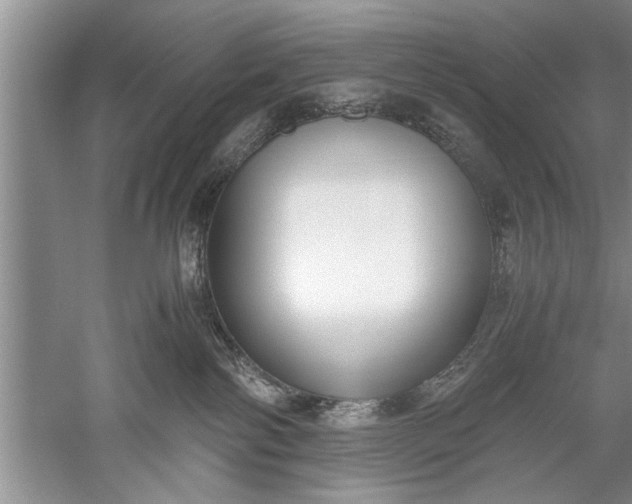 X0000052550138200507152209