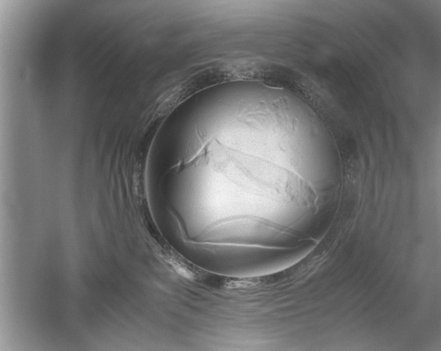 X0000052550139200507152209