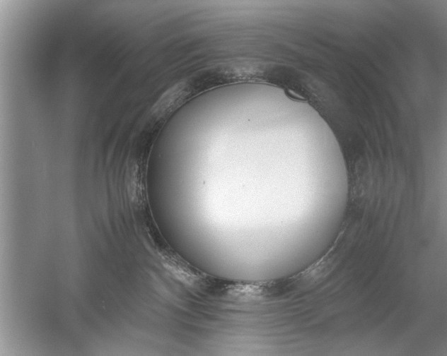 X0000052550140200507152209