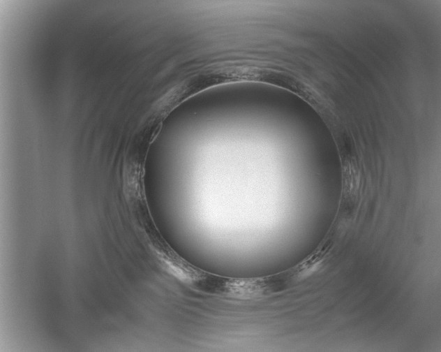 X0000052550141200507152209