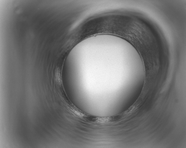 X0000052550143200507152209