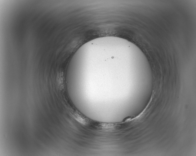 X0000052550144200507152209