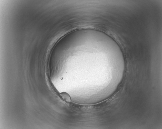 X0000052550145200507152208