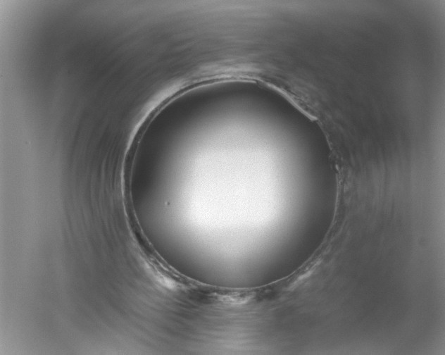 X0000052550148200507152209